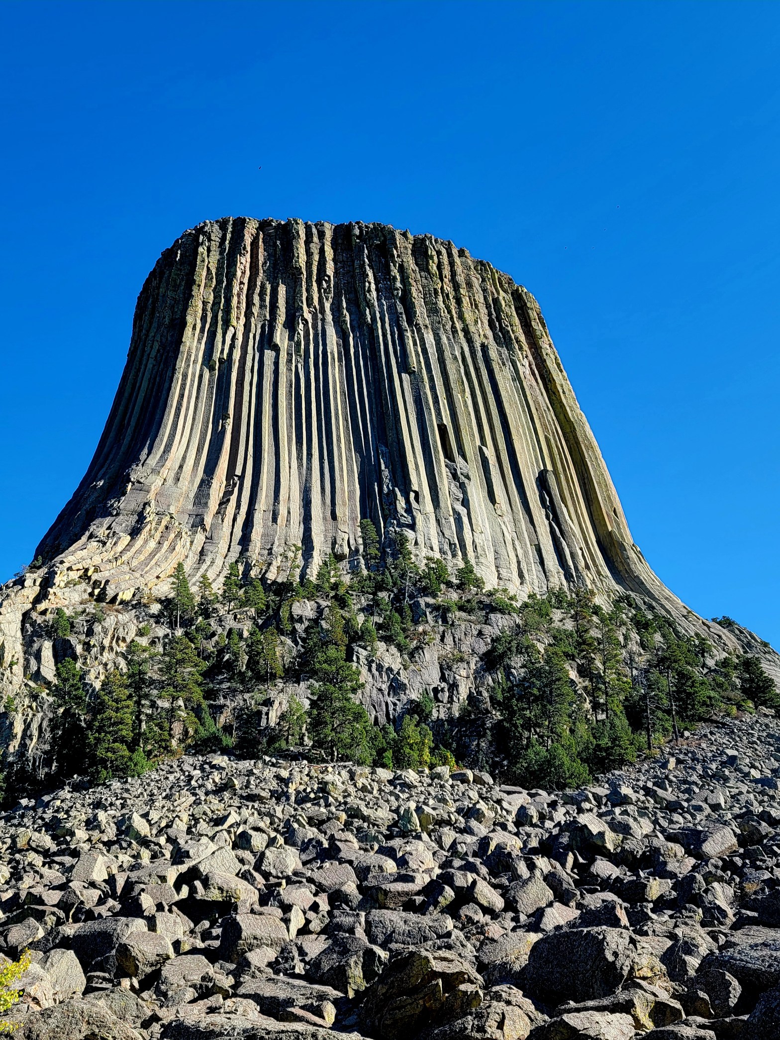 We backtracked – wait,&nbsp;what?